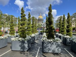 липовый сад трансформер открылся на Исаакиевской площади на Синем мосту перед Мариинским Дворцов 27 мая