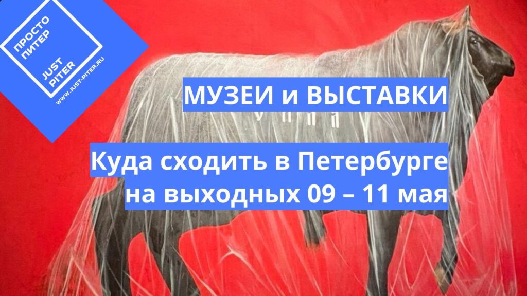 Куда сходить в Петербурге 8 – 11 мая 2026 – 9 идей для всей семьи – музеи и выставки